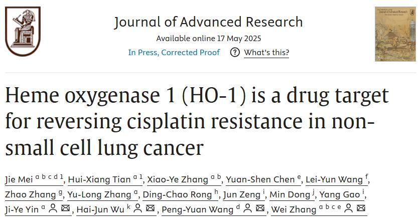 张伟教授/尹继业研究员在《Journal of Advanced Research》发表文章揭示血红素加氧酶1（HO-1）是逆转非小细胞肺癌顺铂耐药的药物靶点及其机制研究结果